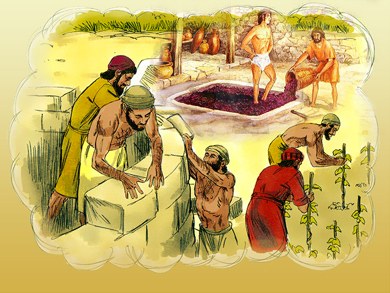 Read more about the article Thứ Sáu tuần 2 mùa Chay (Mt 21,33-43.45-46)