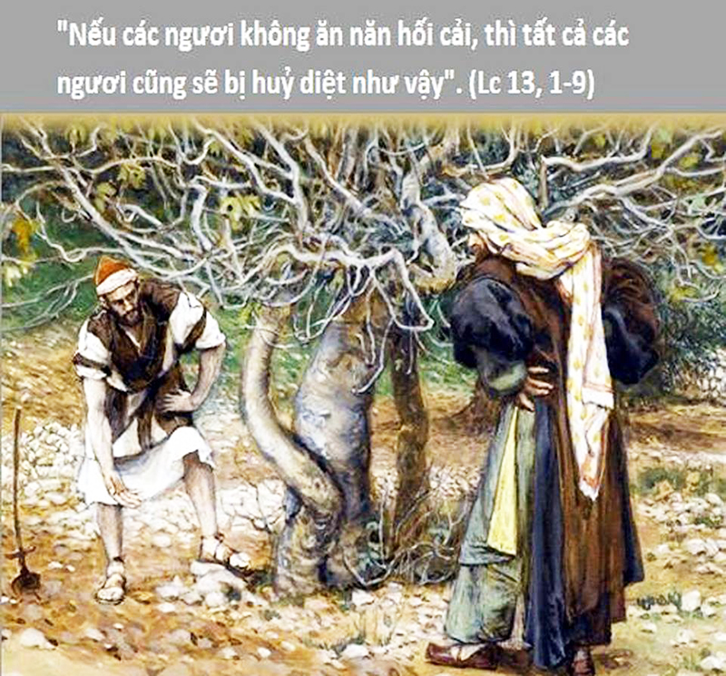 Read more about the article Chúa nhật 3 mùa Chay năm C – Hãy sám hối (Lc 13,1-9)