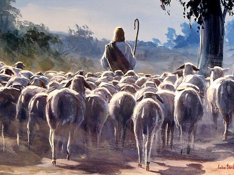 Read more about the article Chúa nhật 4 Phục sinh năm C – Chúa nhật Chúa chiên lành (Ga 10,27-30)
