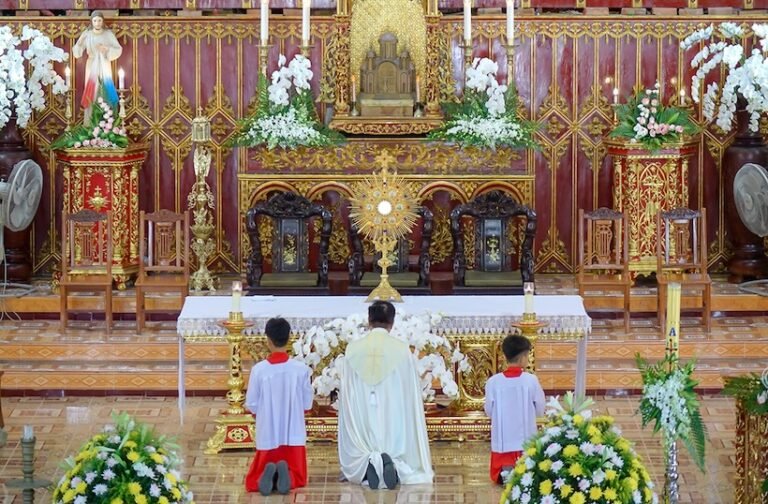 Giáo xứ Vinh Phú chầu Thánh Thể thay giáo phận