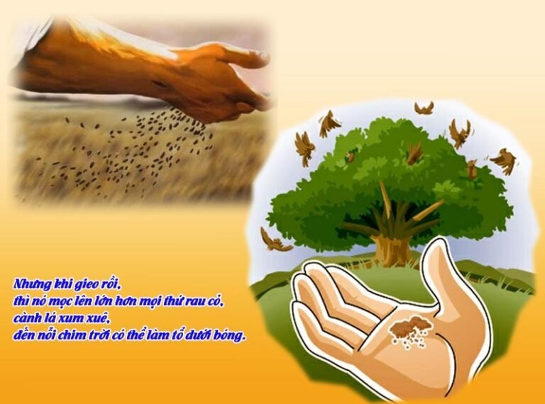 Thứ Hai tuần 17 Thường niên năm I – Sức sống bên trong (Mt 13,31-35)