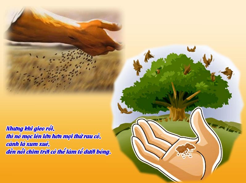 Read more about the article Thứ Hai tuần 17 Thường niên năm I – Sức sống bên trong (Mt 13,31-35)