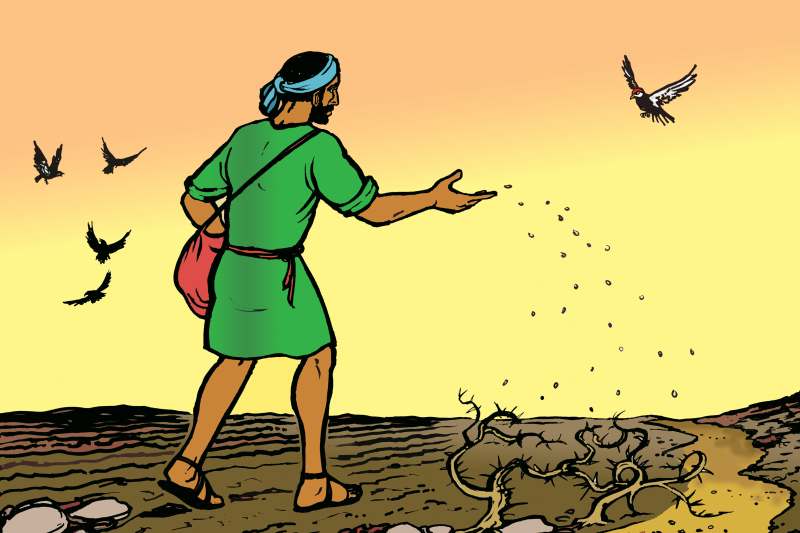 Read more about the article Thứ Tư tuần 16 Thường niên năm I (Mt 13,1-9)