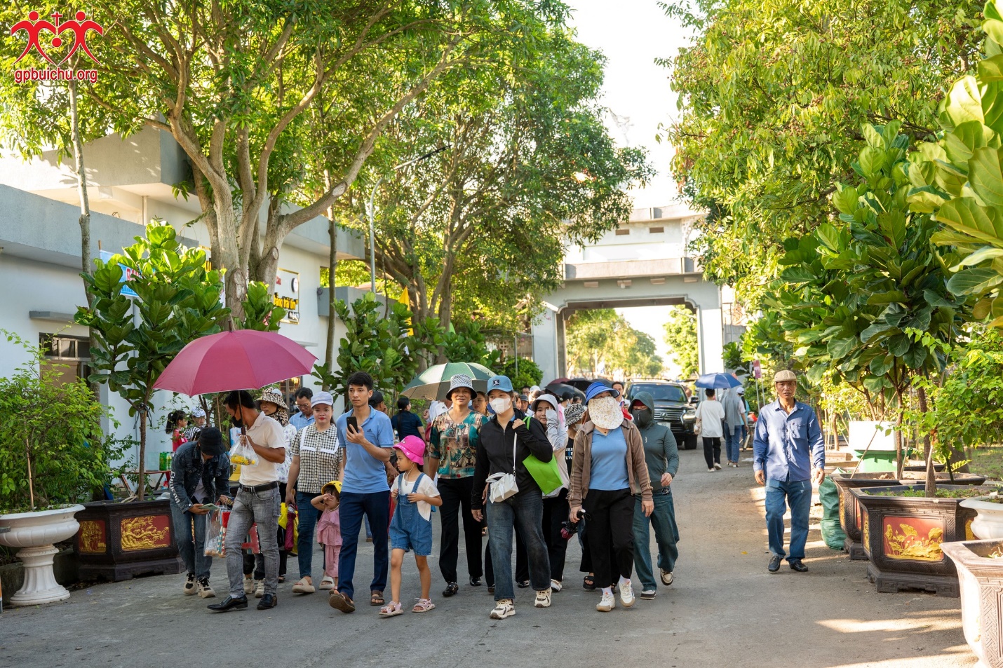 Read more about the article Đại lễ Đầu Dòng, cả một trời hoa