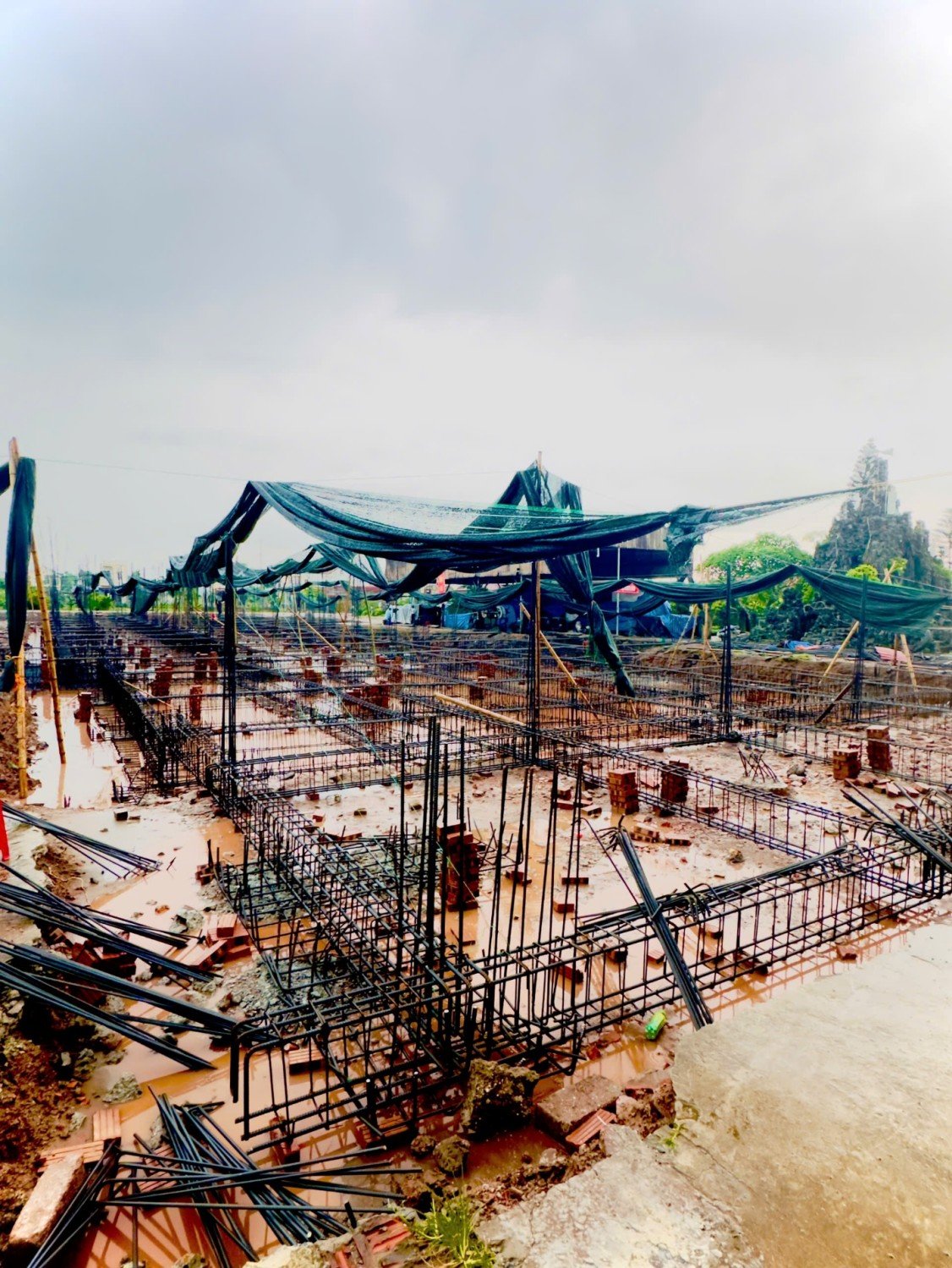 Read more about the article Xuân Chính, tuần chầu của tình hiệp nhất