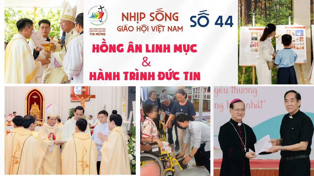Read more about the article Hồng ân Linh mục và Hành trình đức tin: Nhịp sống Giáo hội Việt Nam số 44