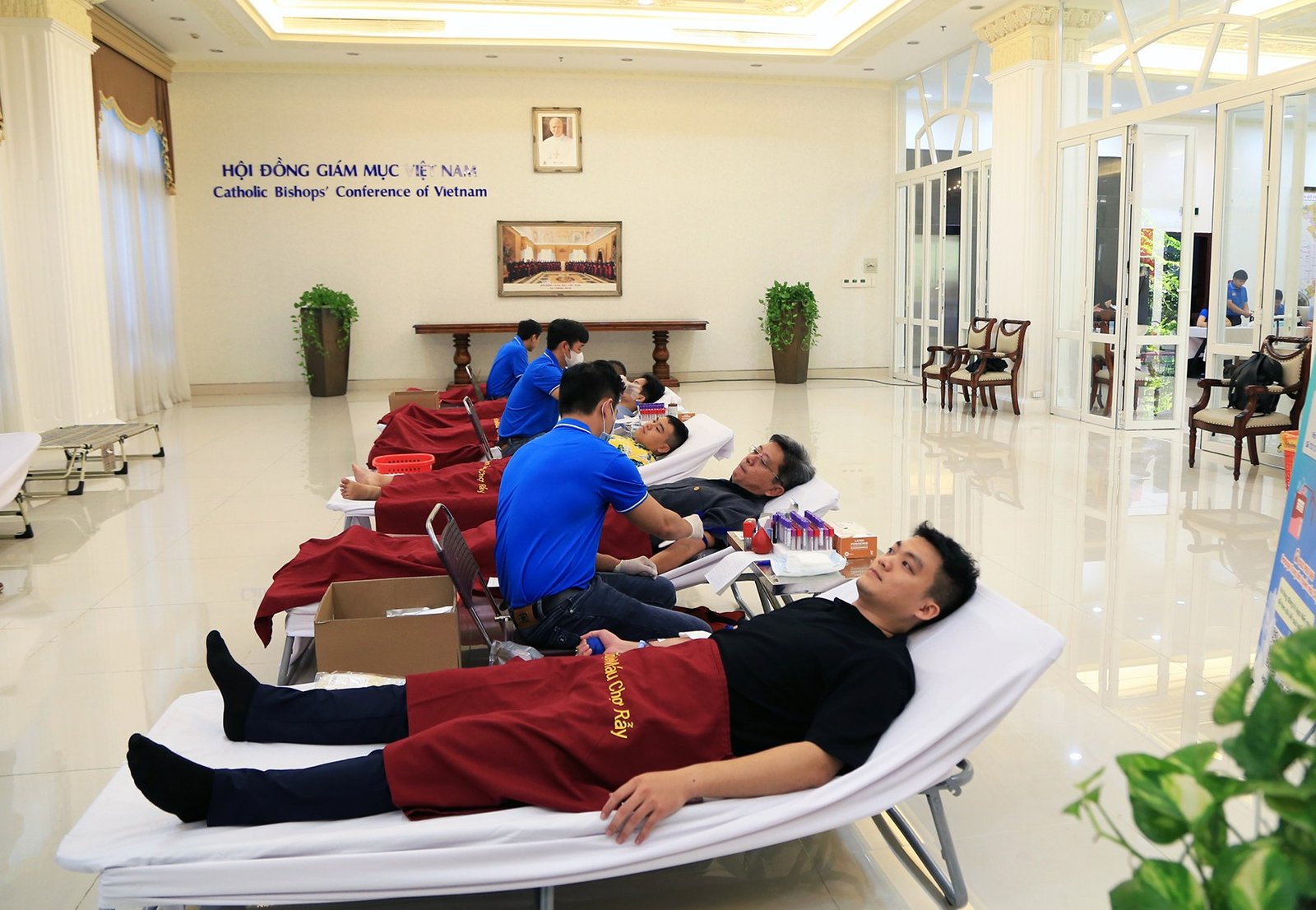 Read more about the article Văn phòng Hội Đồng Giám mục Việt Nam tổ chức hiến máu nhân đạo