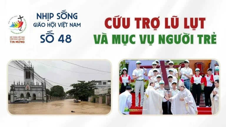 Tuần lễ sôi động của Giáo hội Việt Nam – Nhịp sống Giáo hội Việt Nam số 49 (23/11-30/11/2025)