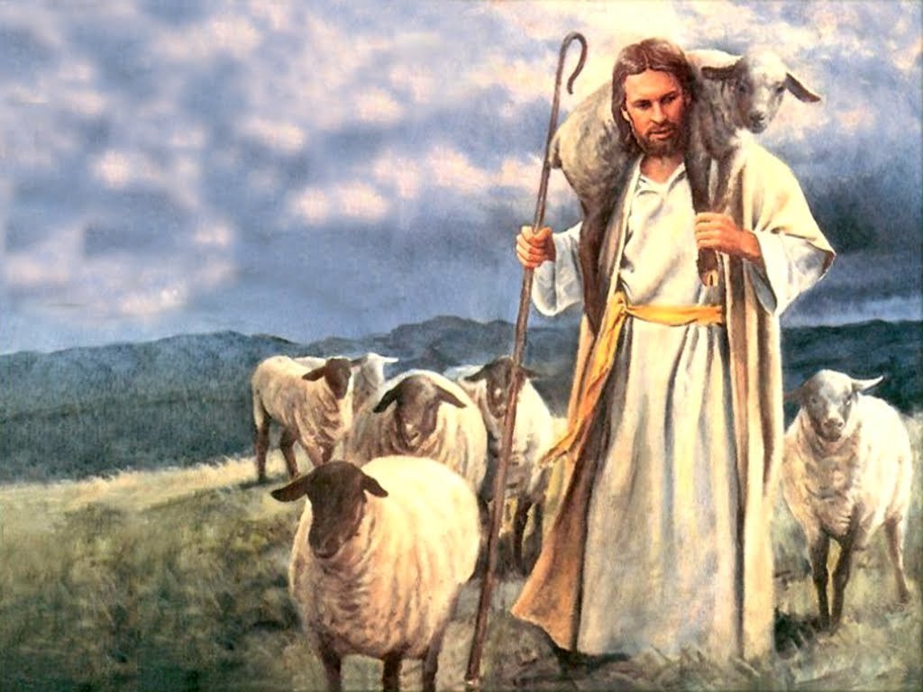 Read more about the article Chúa nhật 4 Phục sinh năm A – Lễ Chúa Chiên Lành (Ga 10,1-10)