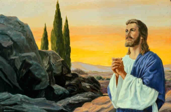 Thứ Tư tuần 15 Thường niên năm II – Tạ ơn Chúa (Mt 11,25-27)