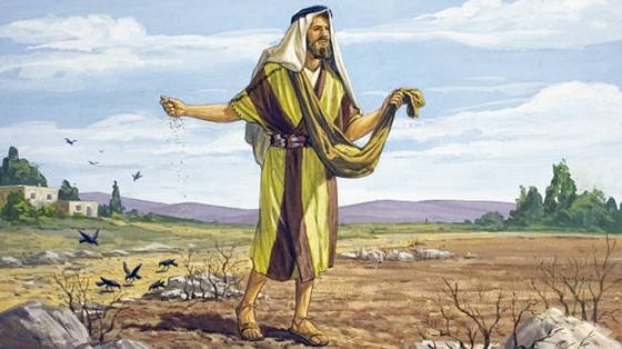 Thứ Sáu tuần 16 Thường niên năm II – Mảnh đất tâm hồn (Mt 13,18-23)